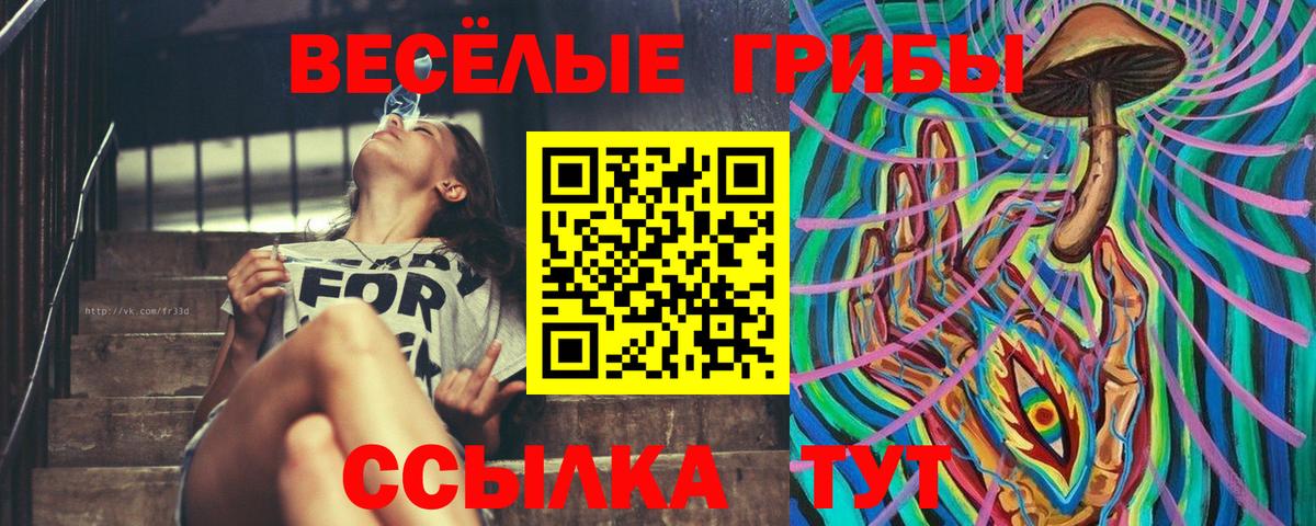 Беслан  Псилоцибиновые грибы MAGIC MUSHROOMS  Псилоцибиновые грибы мухоморы  Вход с VPN 