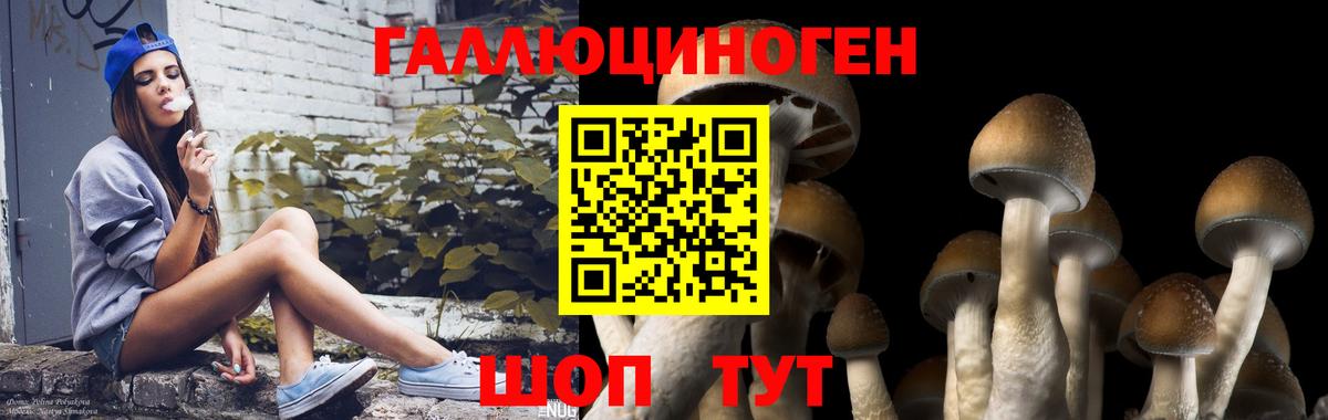 Галлюциногенные грибы прущие грибы Беслан